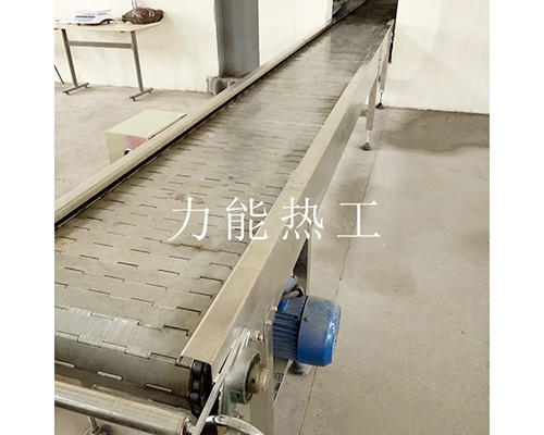 重庆链板输送机