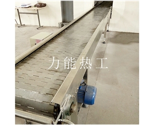 重庆链板输送机